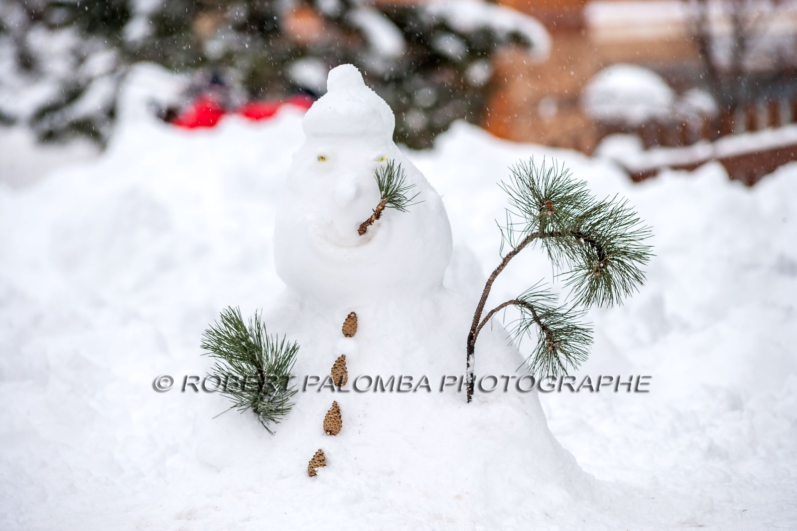 Bonhomme de neige