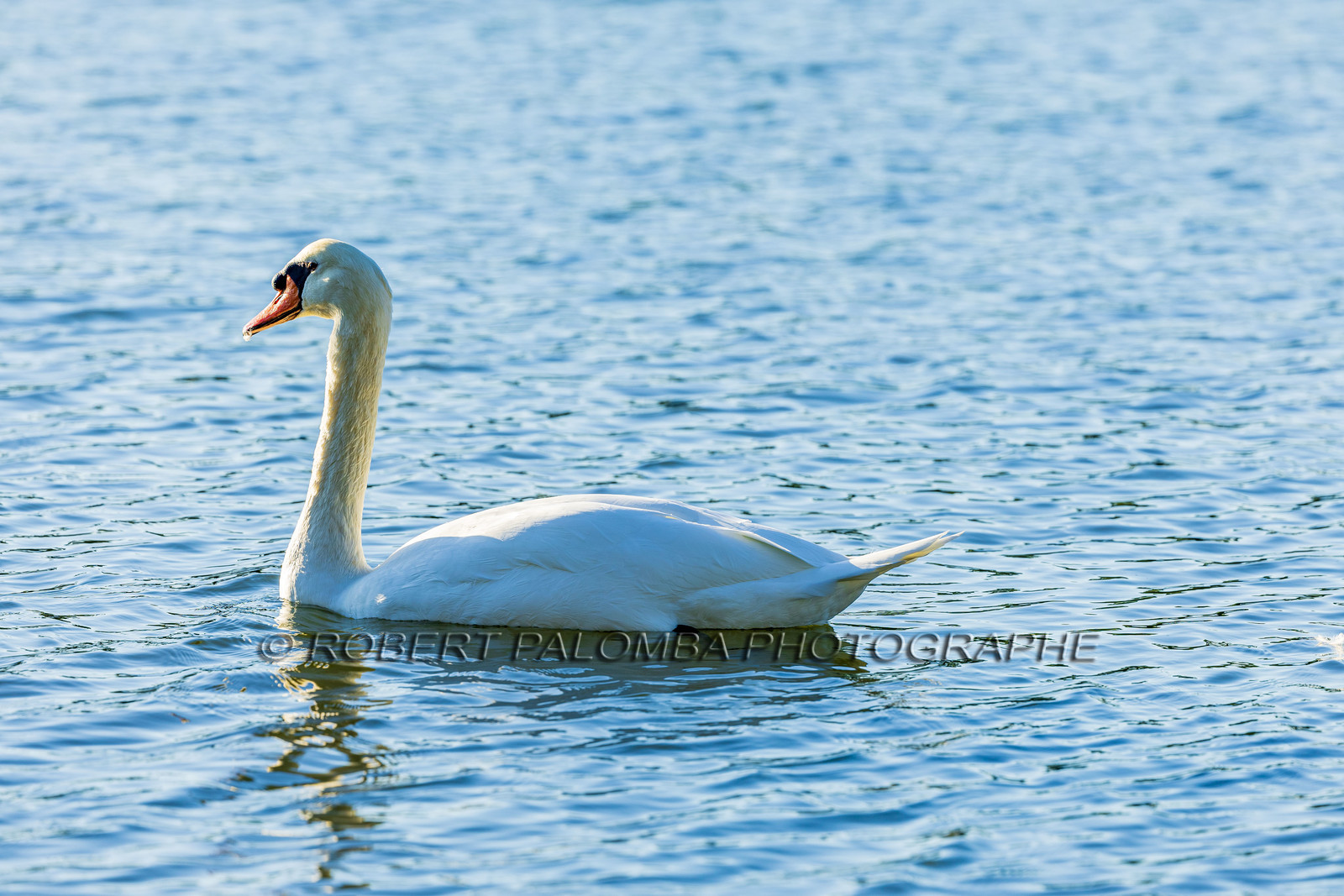 Lérins Sainte Marguerite 2024