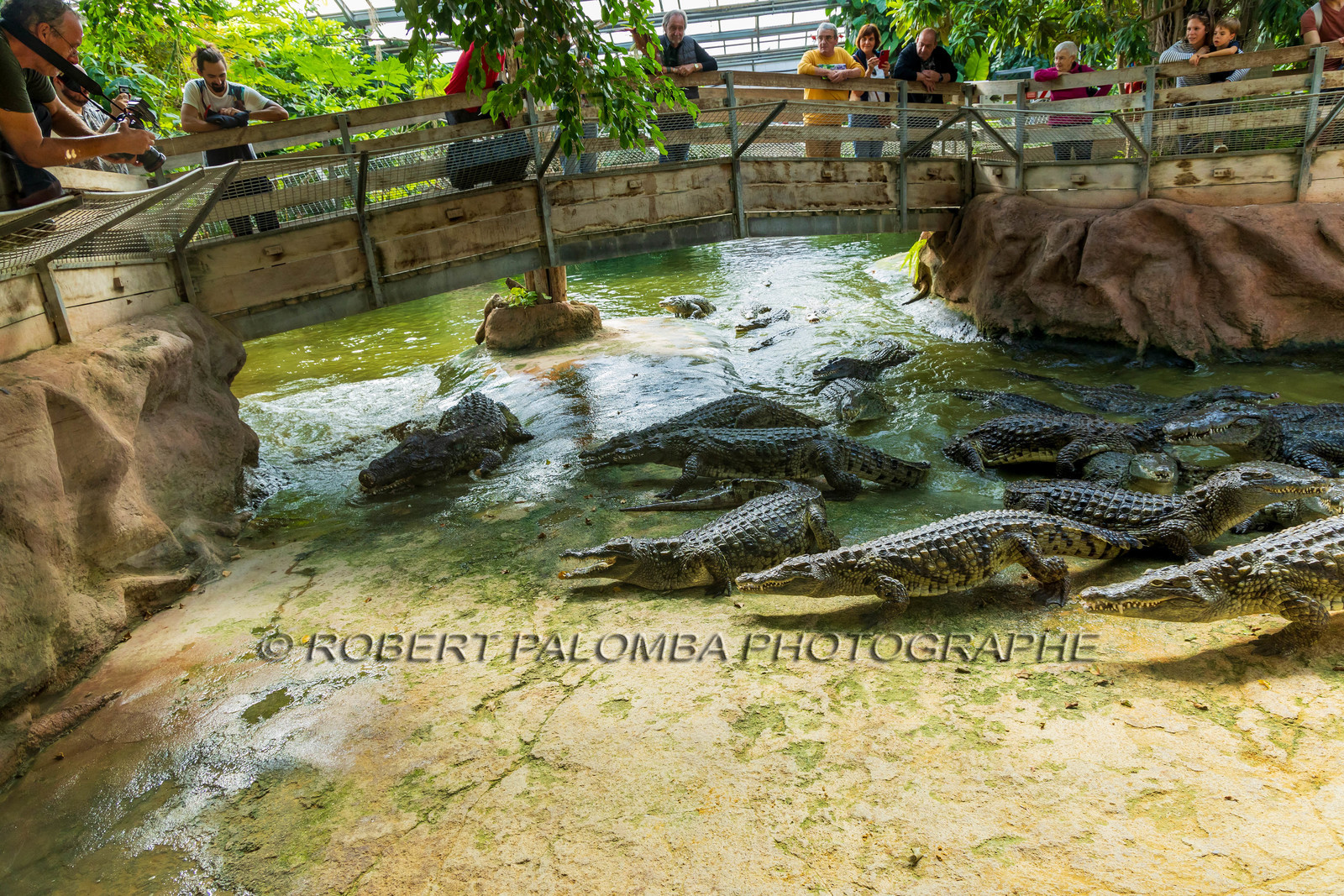 La Ferme aux crocodiles