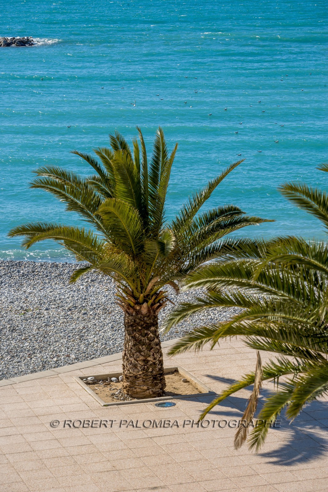 Saint-Laurent-du-Var