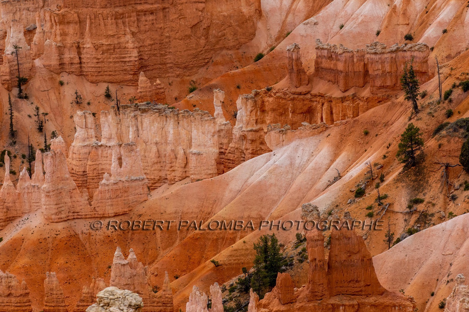 Bryce Canyon