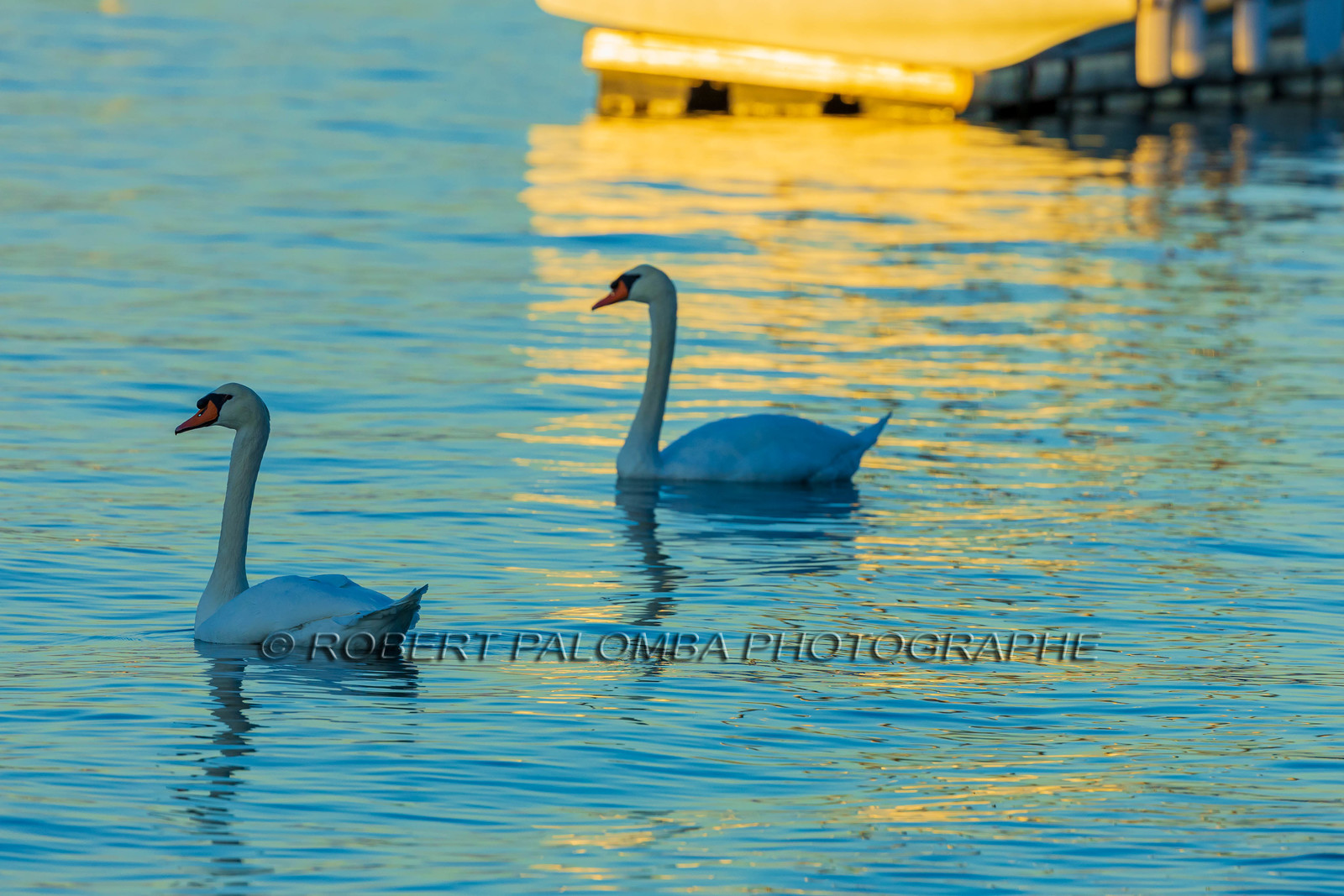 Lérins Sainte Marguerite 2024