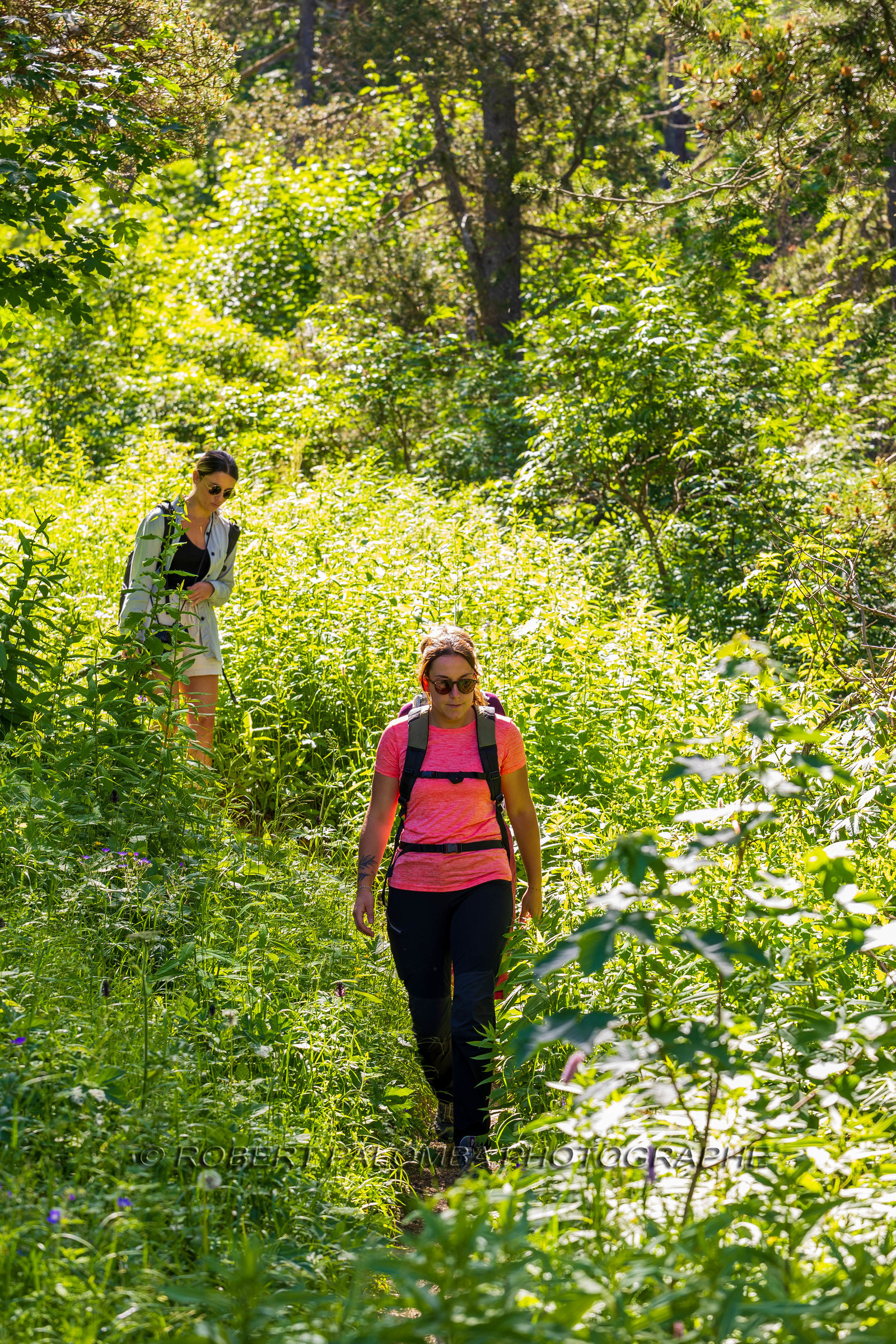 Cascade du Chadoulin