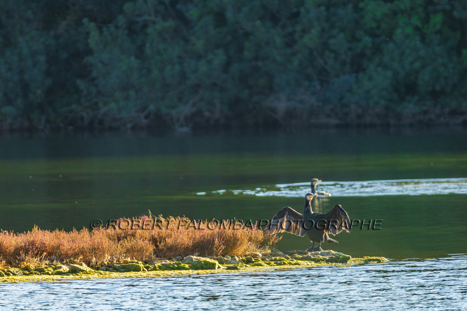 Lérins Sainte-Marguerite 2024