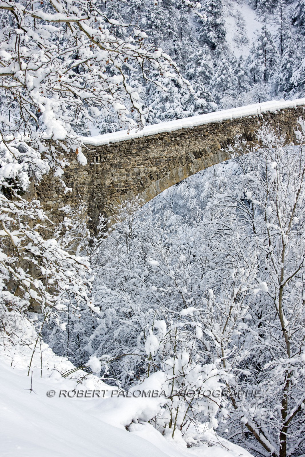Pont de la Reine Jeanne