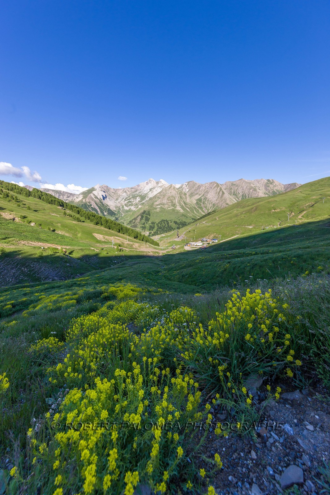 Col d'Allos