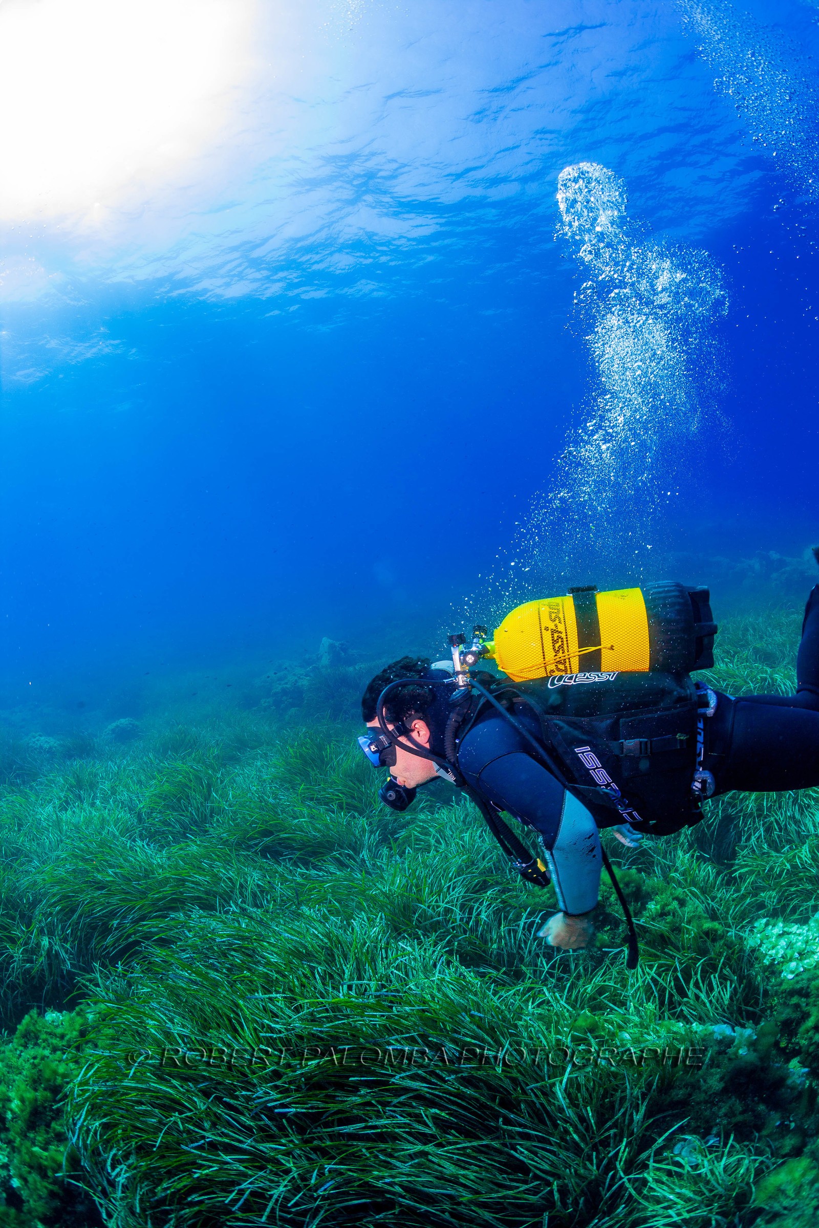 Plongée-sous-marine