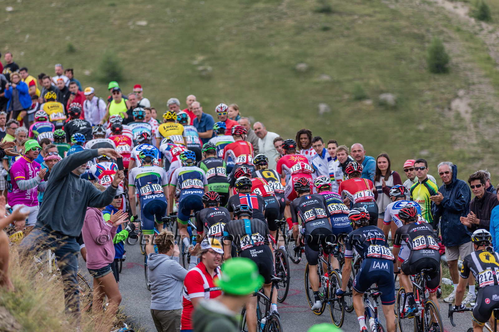 Tour de France 2015