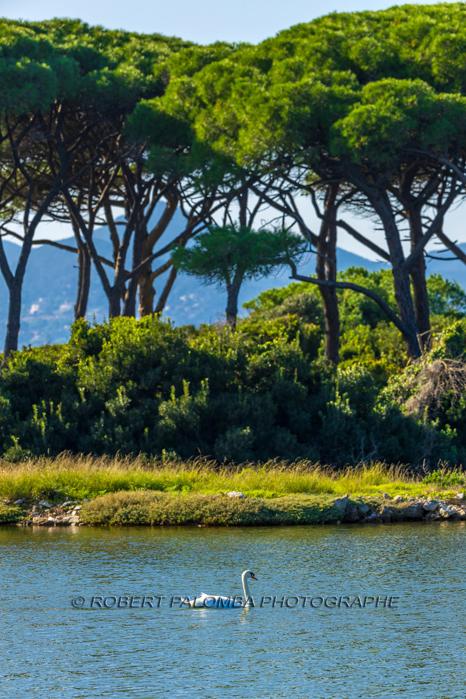 Lérins Sainte-Marguerite