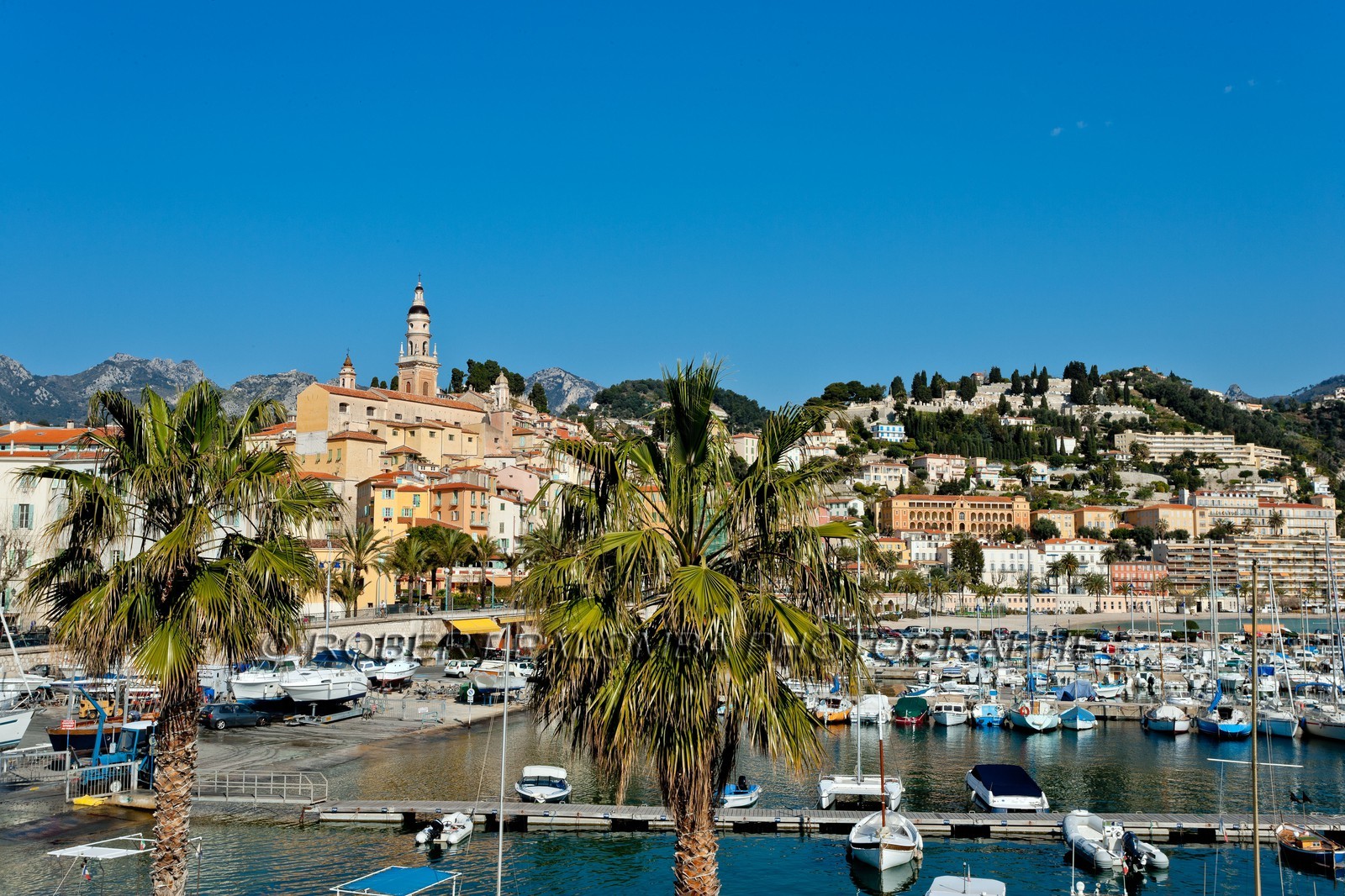 Menton