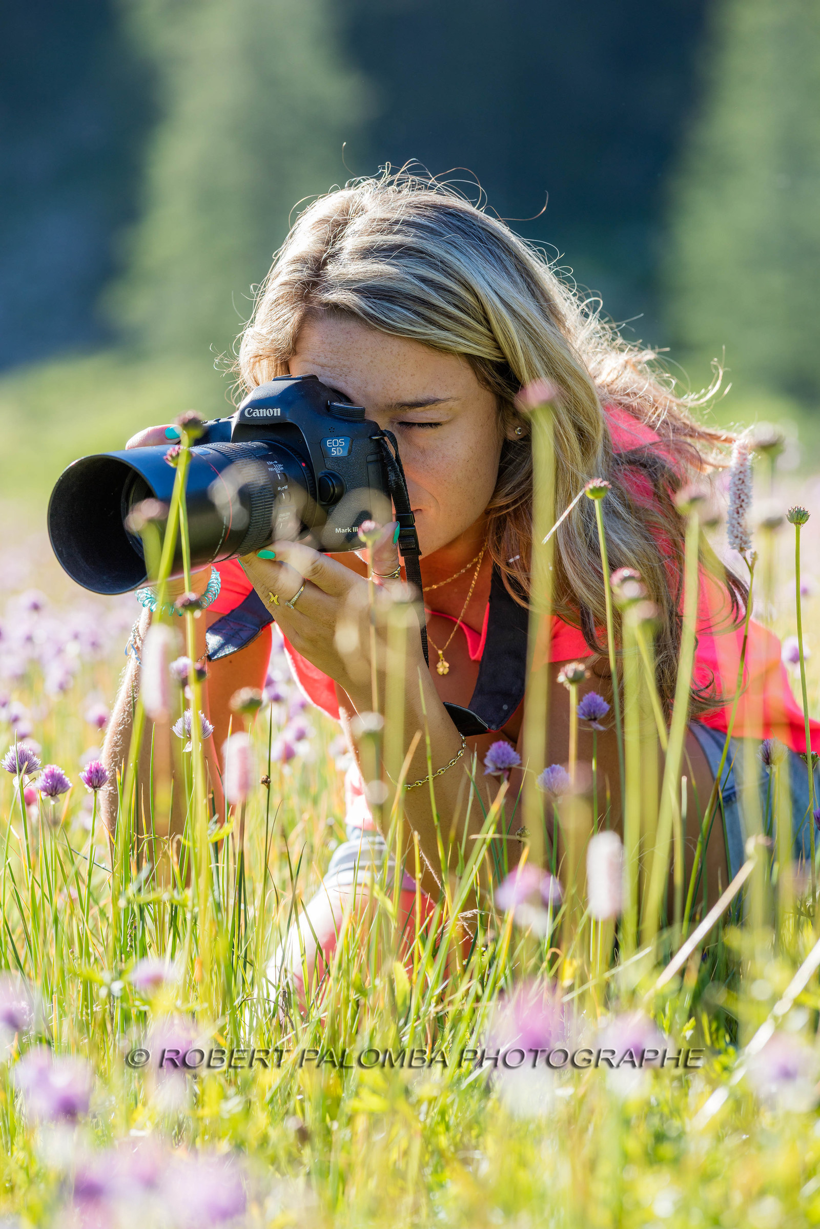 Alpes-de-Haute-Provence (04) Val d'Allos