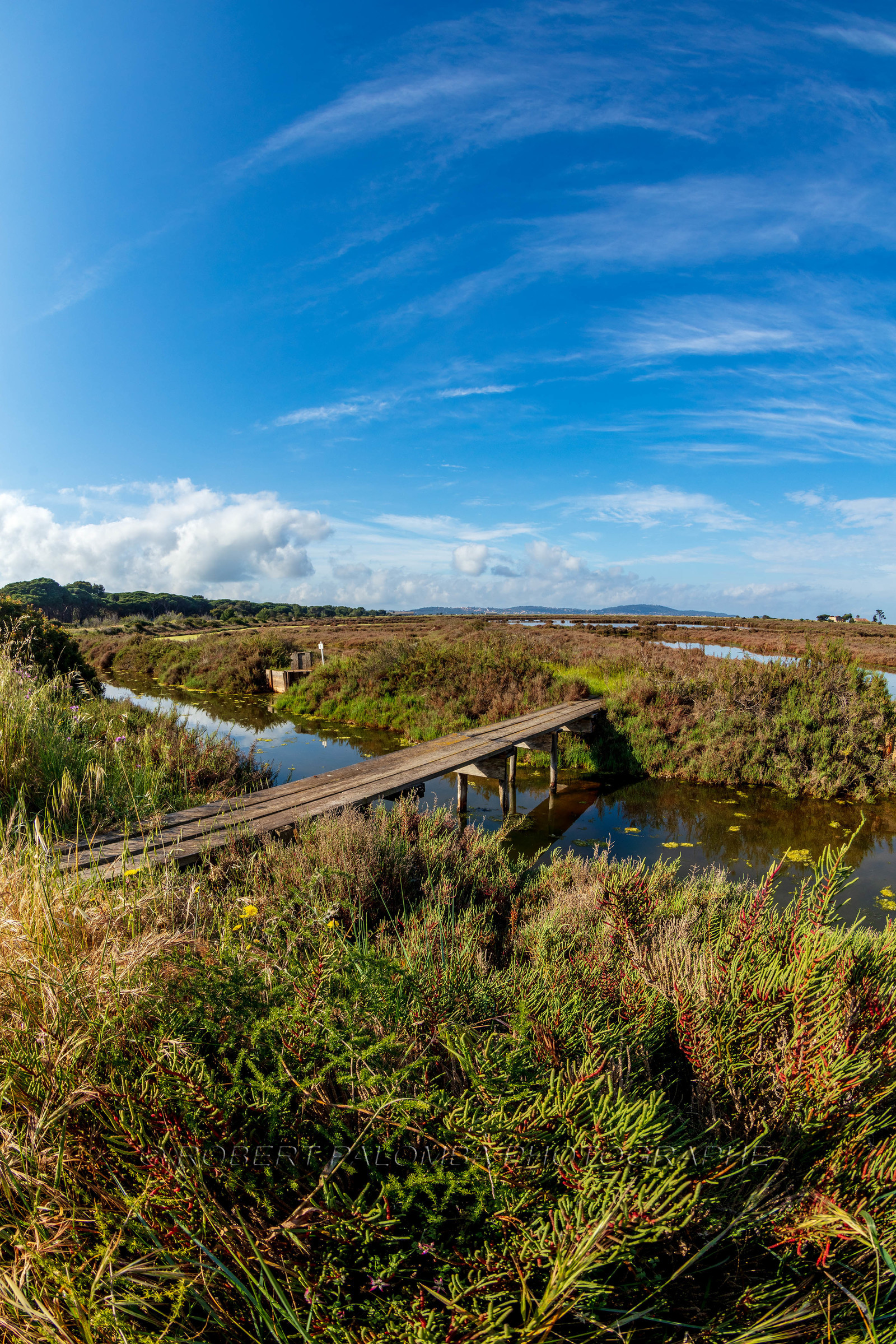 Salins d'Hyères