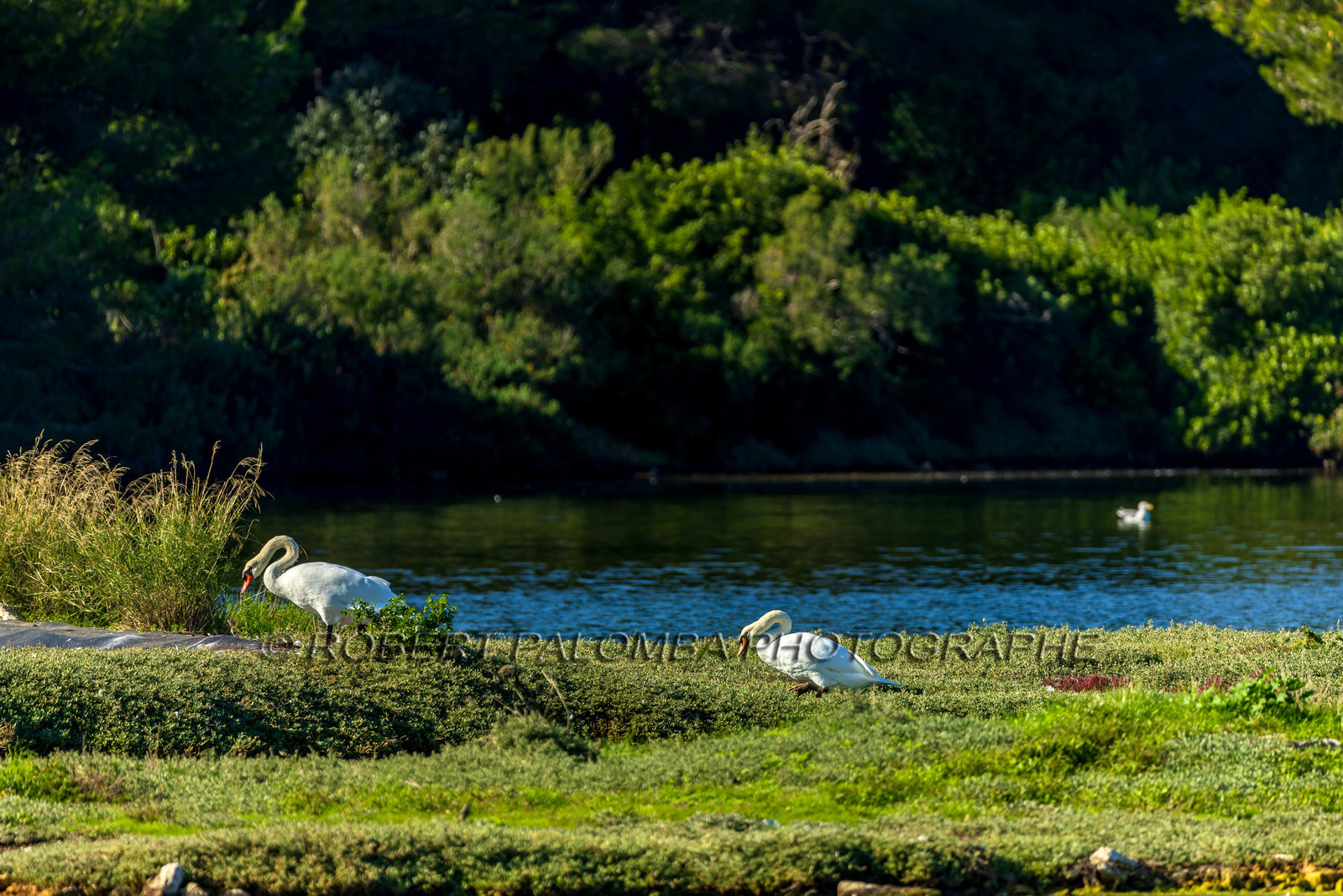 Lérins Sainte-Marguerite