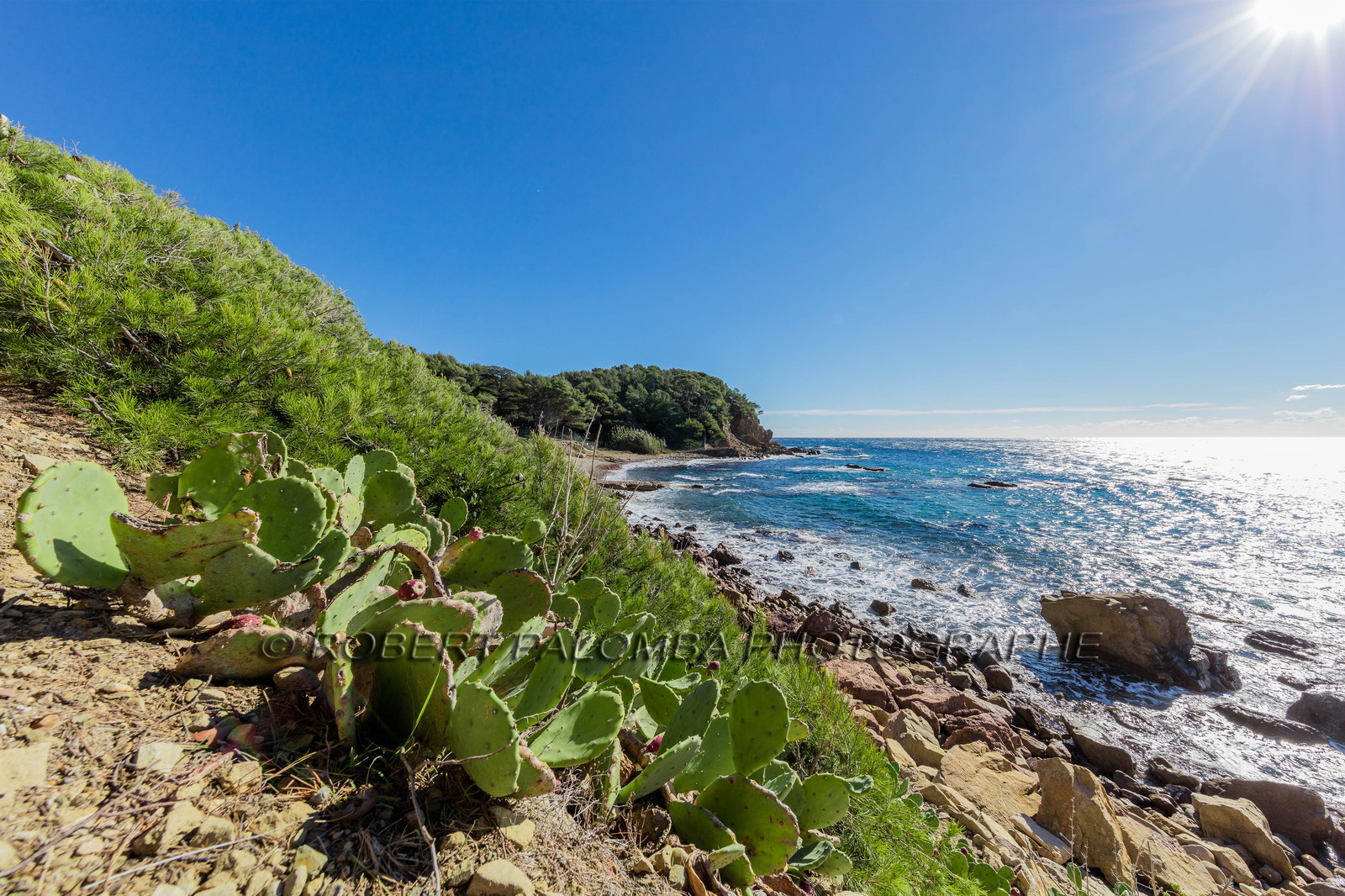 Saint-Mandrier-sur-Mer