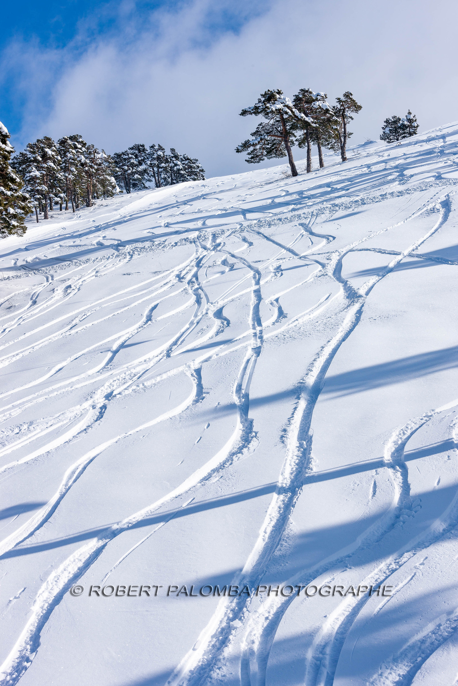 Traces dans la neige