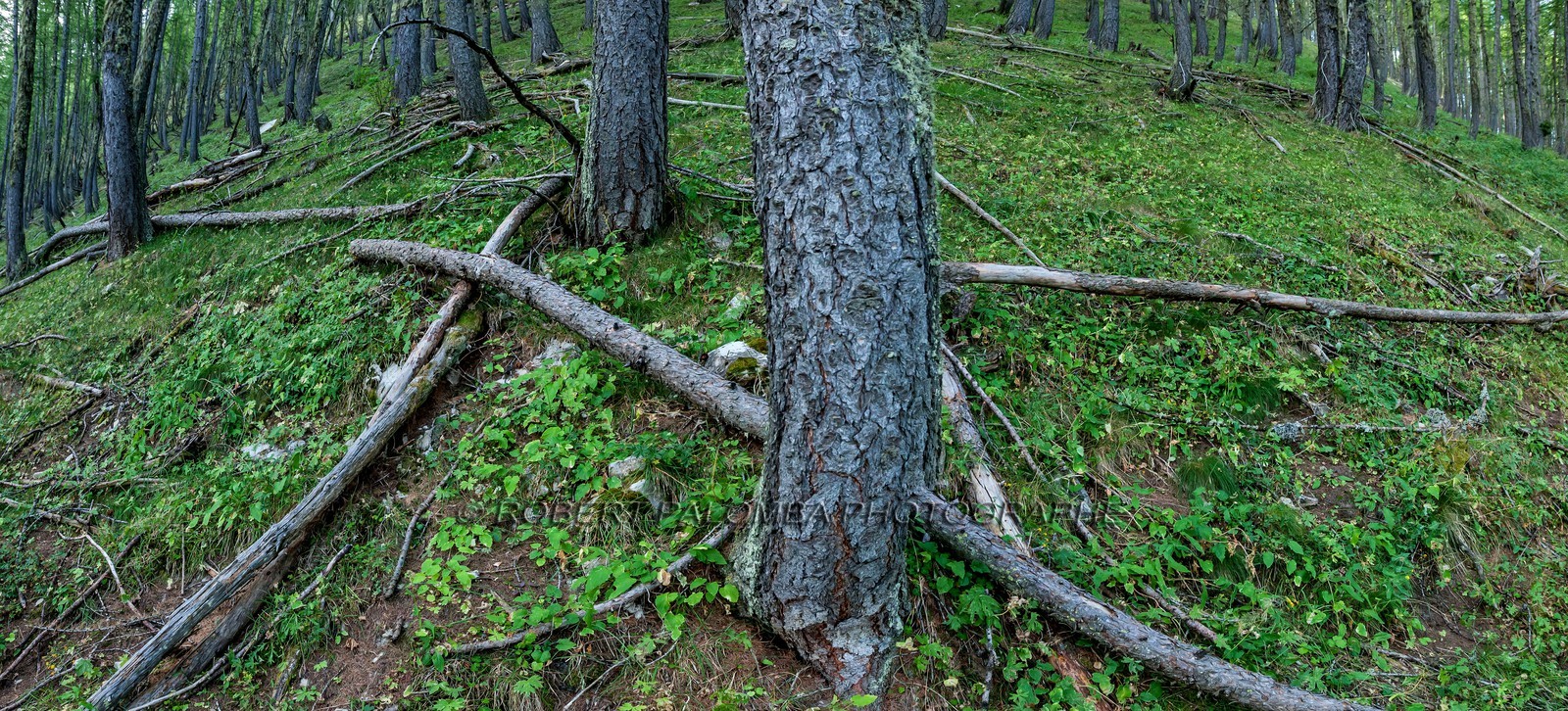 Rando Vtt Lacs de Lignin