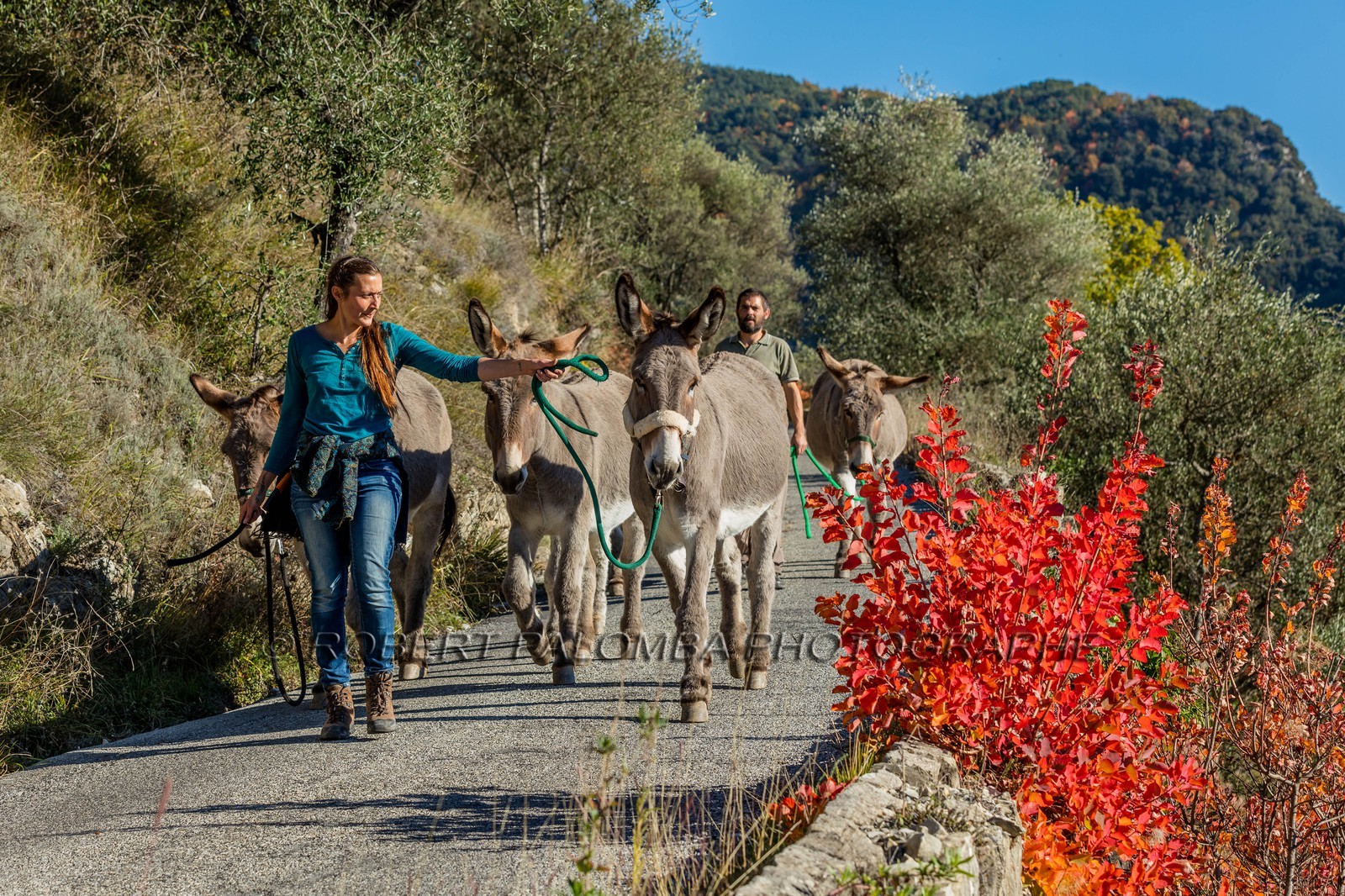 Granges de la Brasque