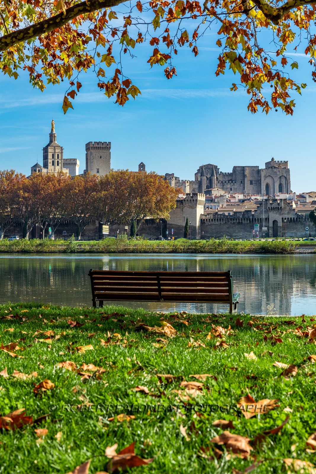 Avignon