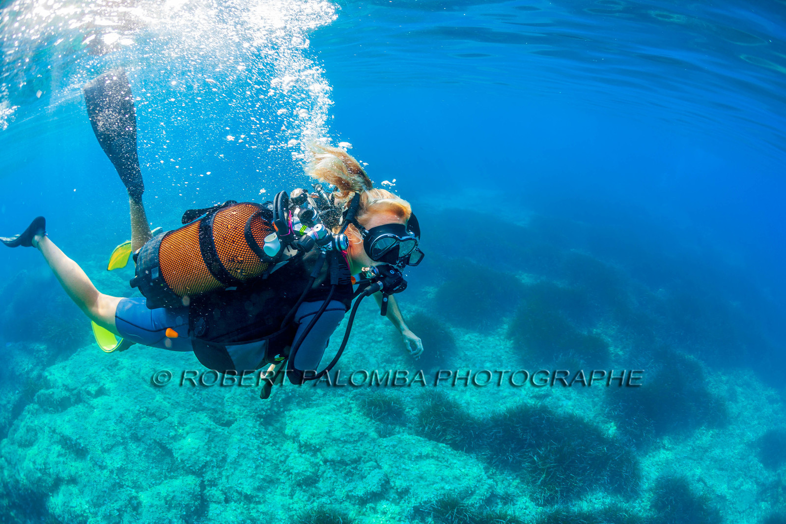 Plongée-sous-marine