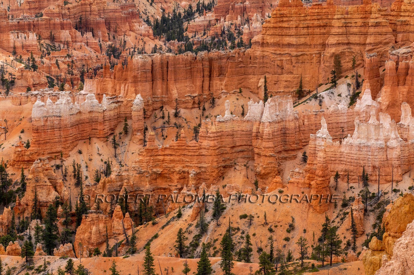 Bryce Canyon
