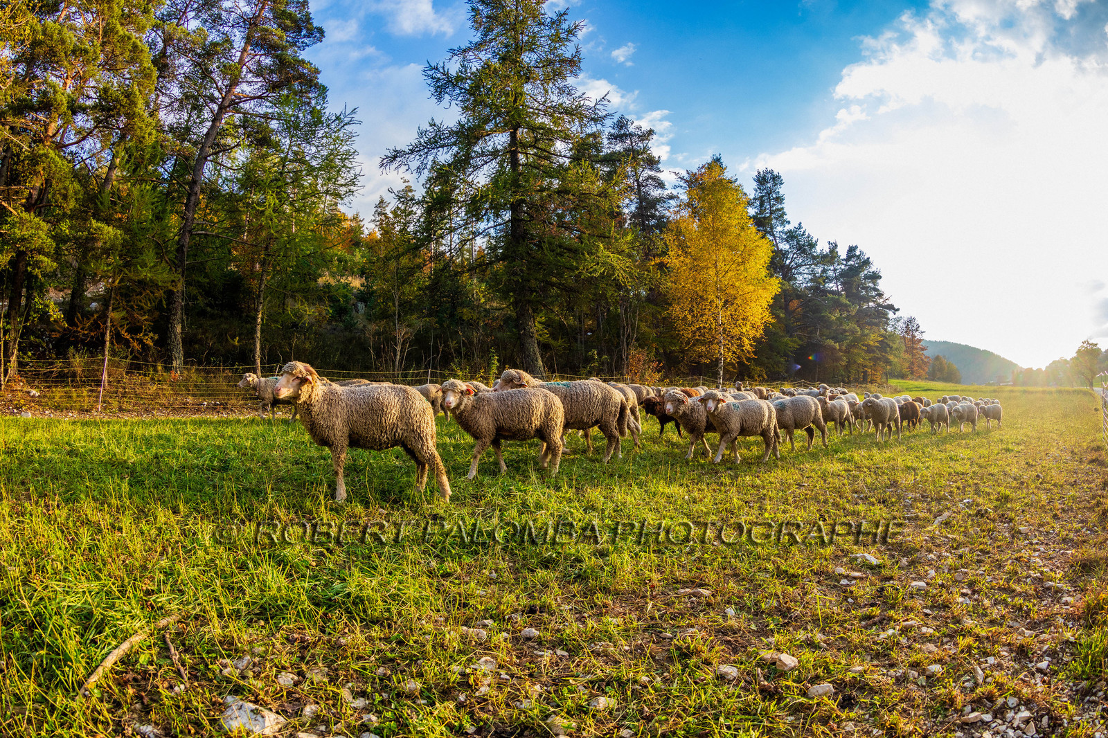 La Colle Saint-Michel