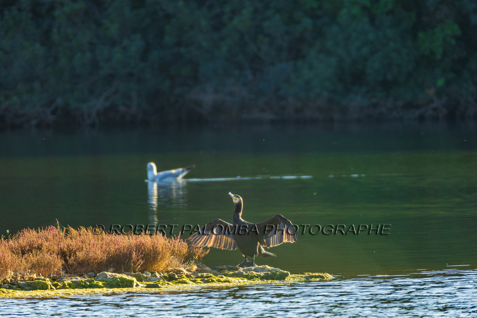 Lérins Sainte-Marguerite 2024