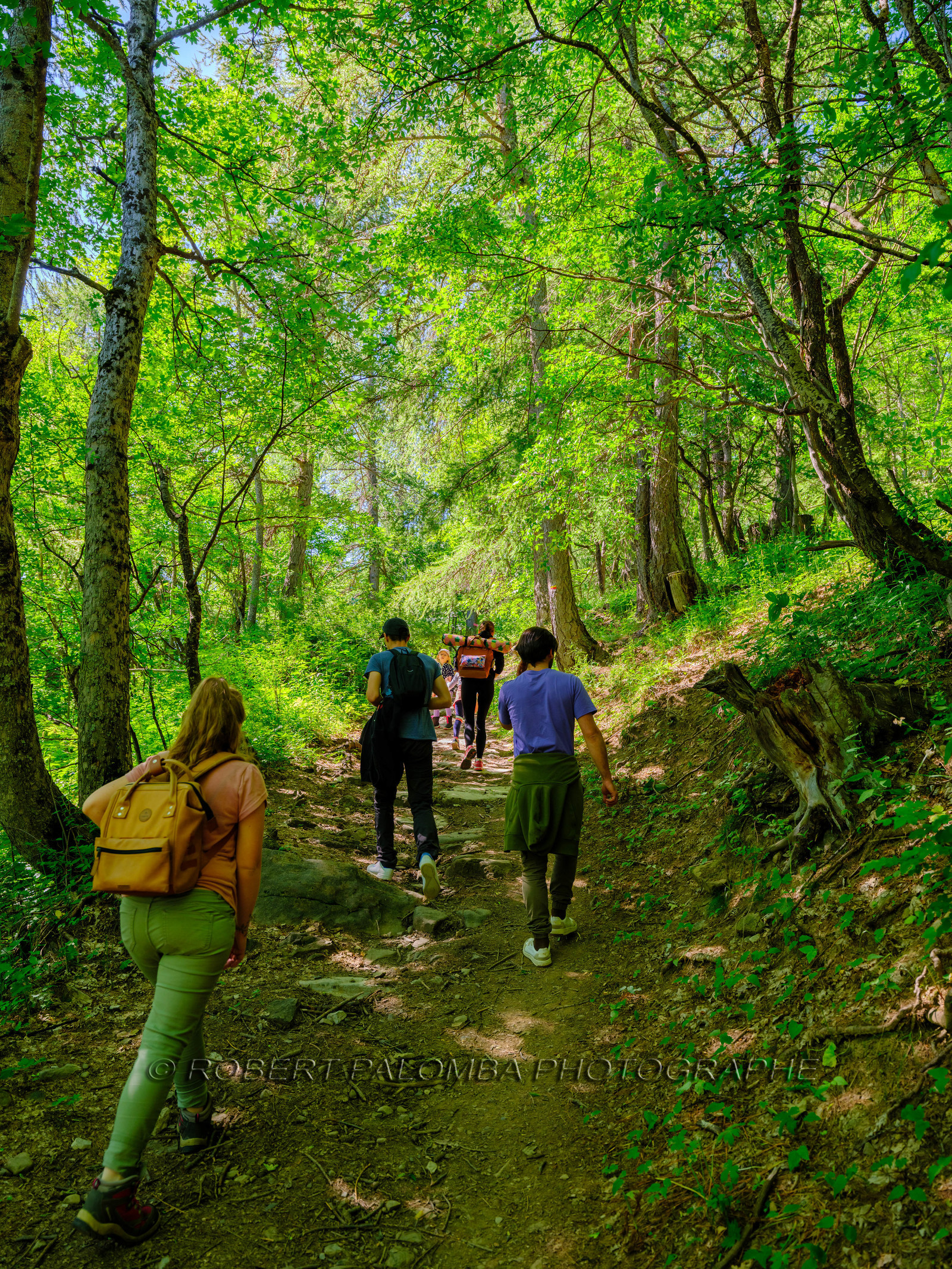 Rando Lac des Grenouilles