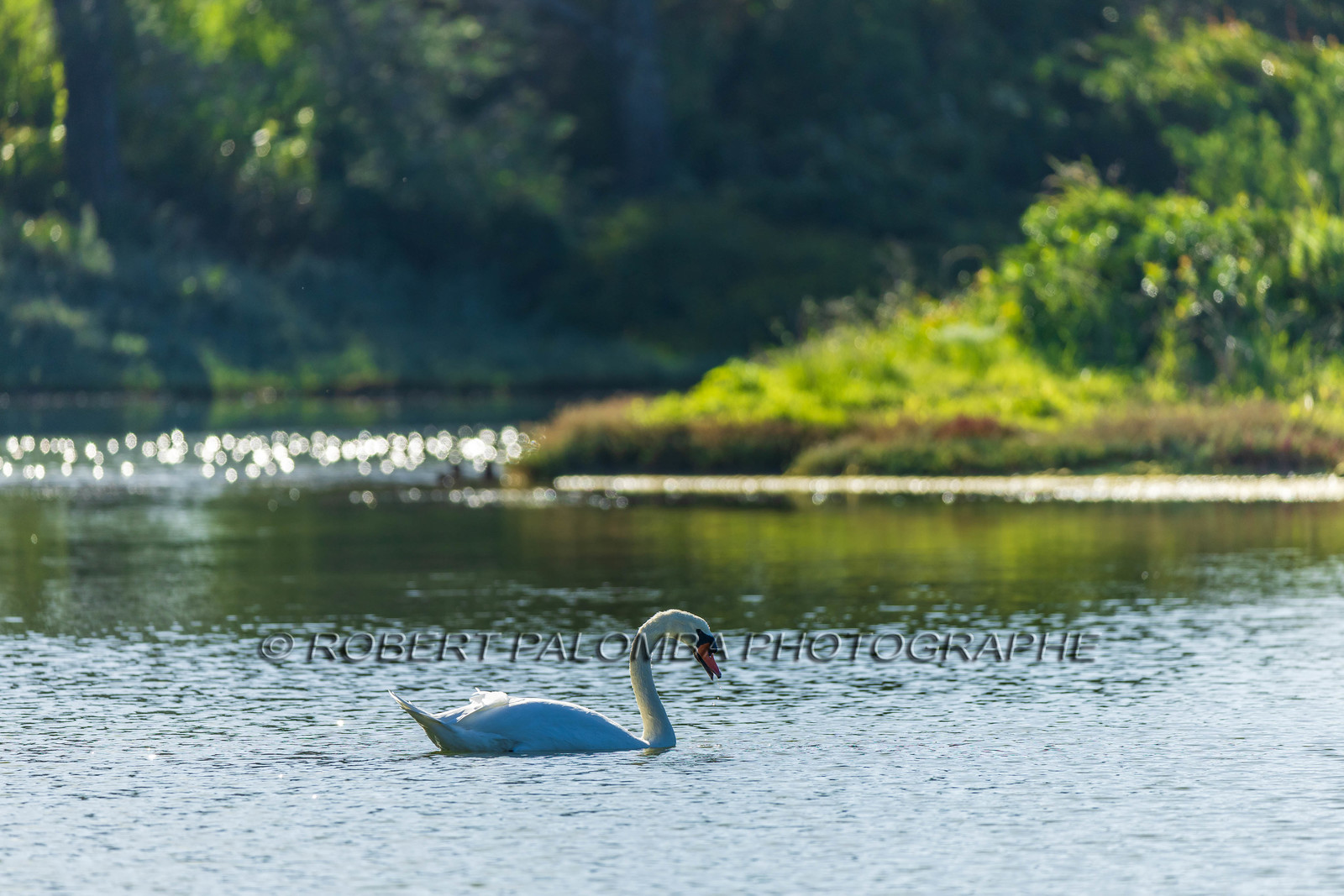 Lérins Sainte-Marguerite