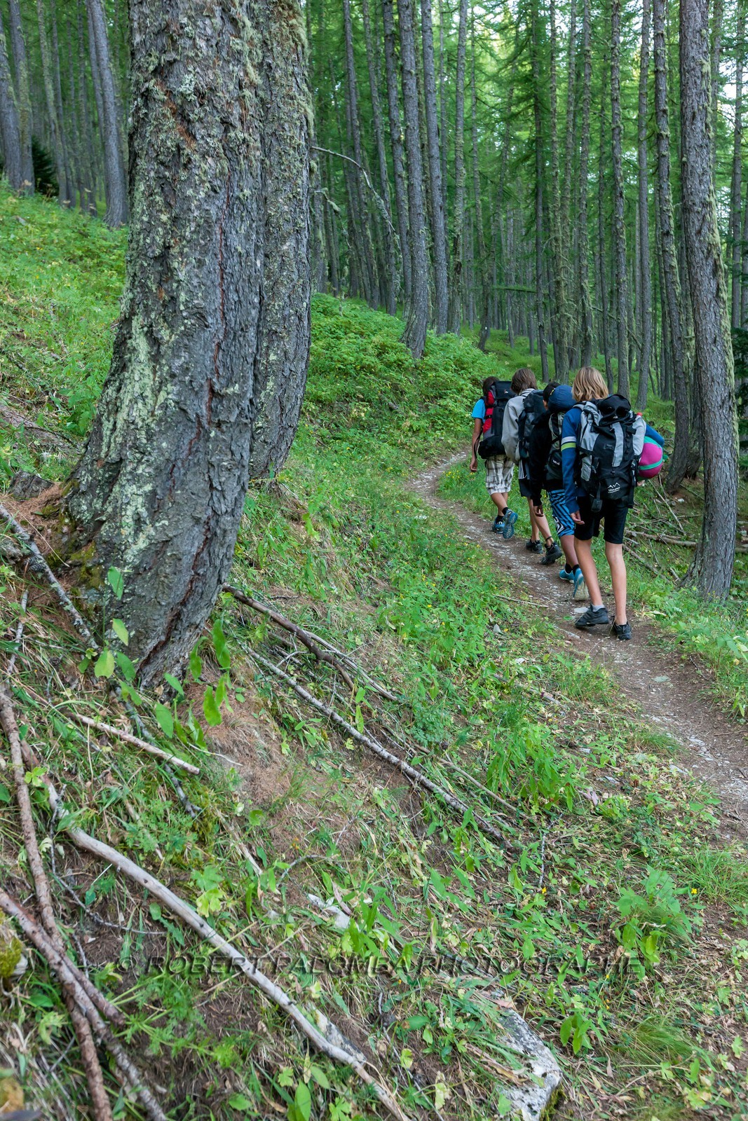 Rando Vtt Lacs de Lignin