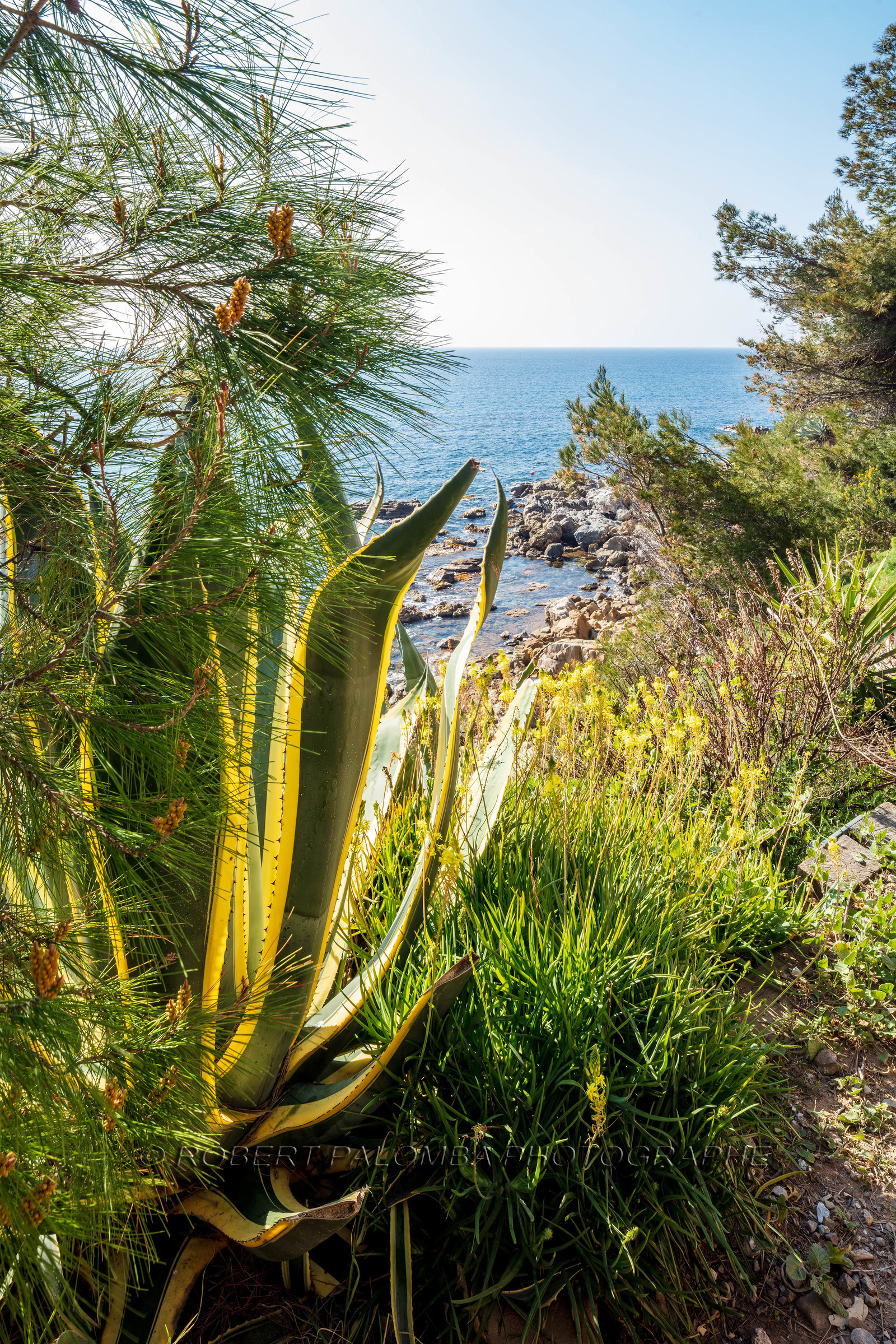 Saint-Mandrier-sur-Mer