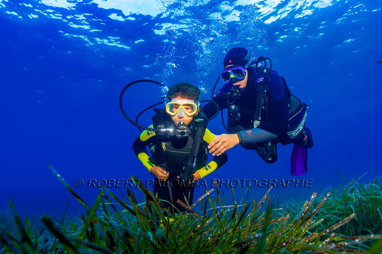 Plongée-sous-marine