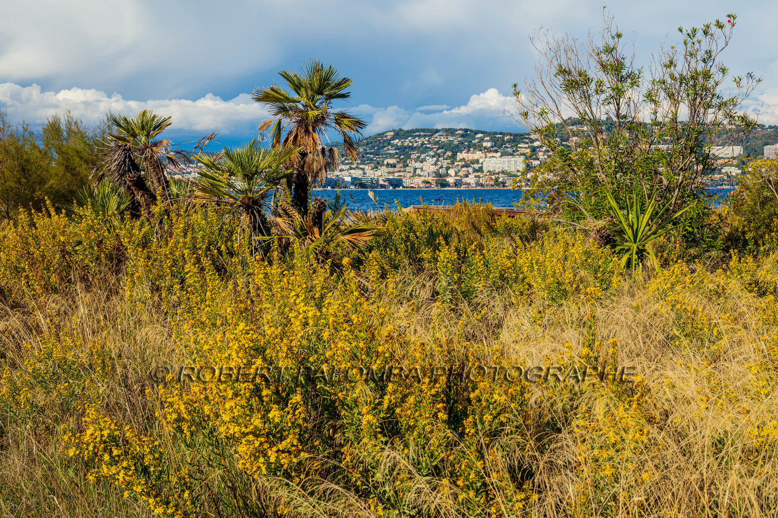 Lérins, Sainte-Marguerite