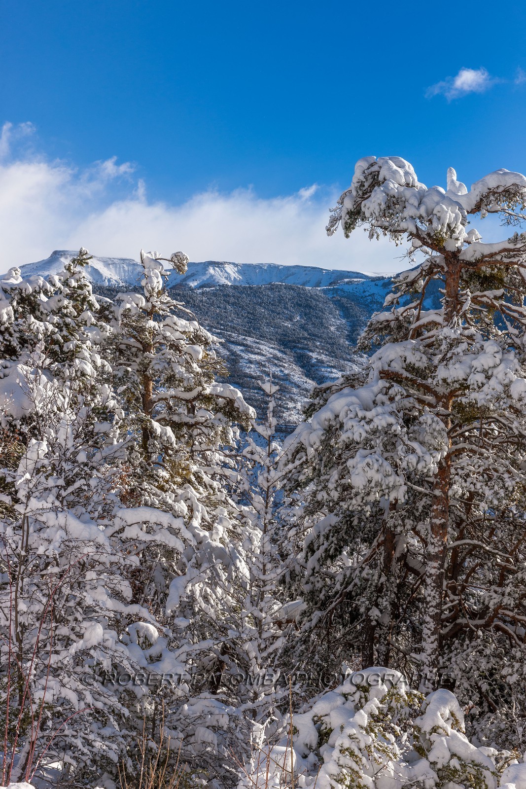 La Colle-Saint-Michel