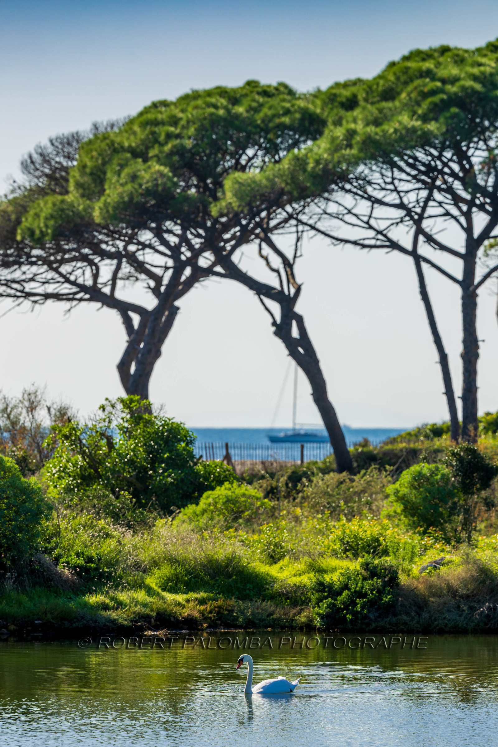 Lérins Sainte-Marguerite