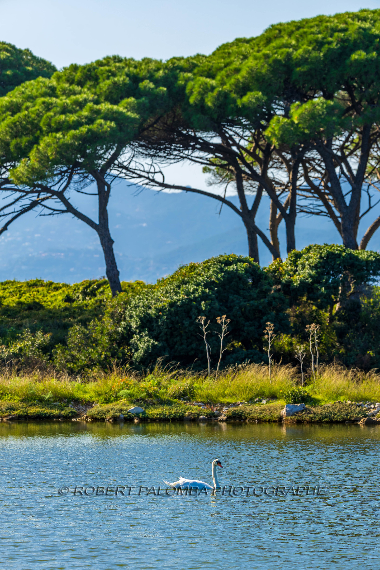 Lérins Sainte-Marguerite