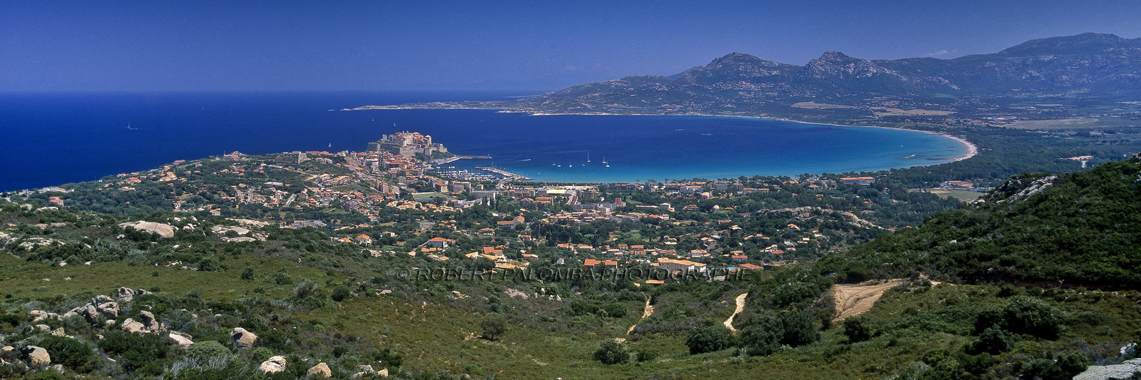 Calvi