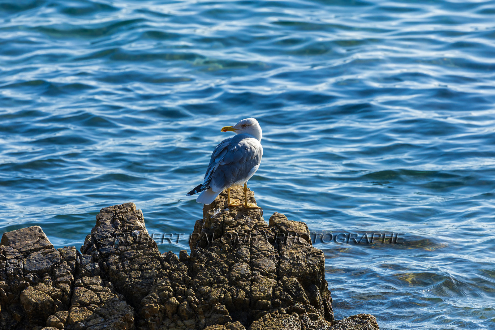 Lérins Sainte-Marguerite