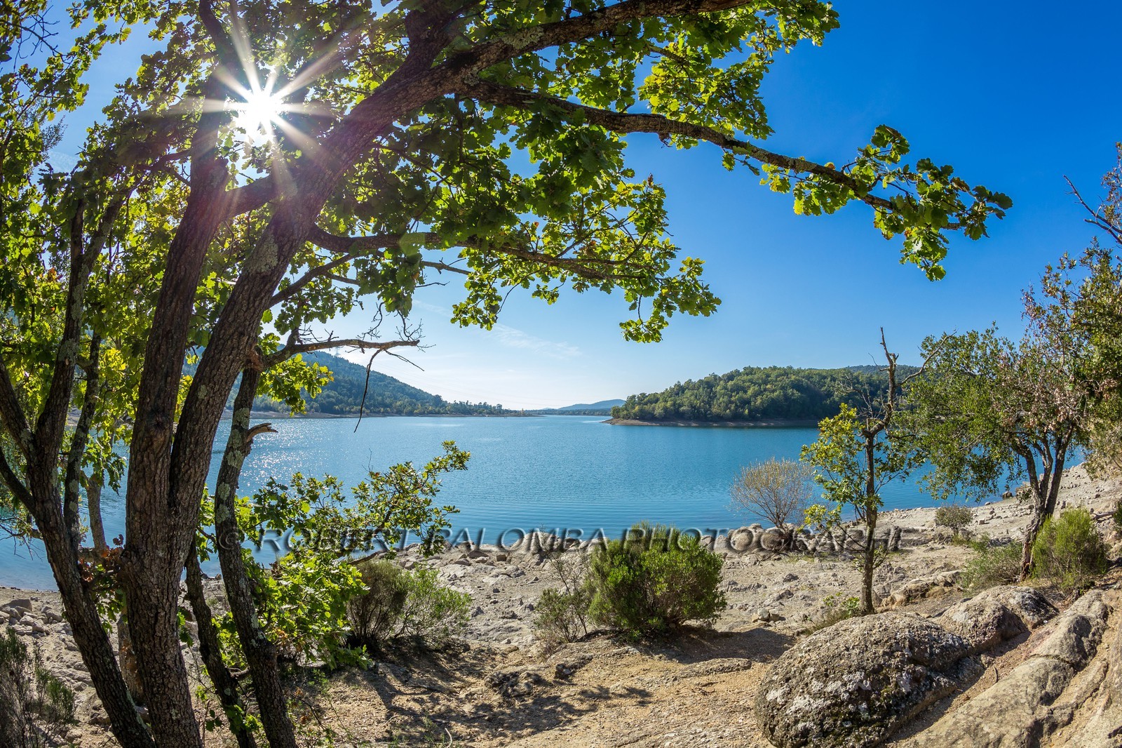 Lac de Saint-Cassien