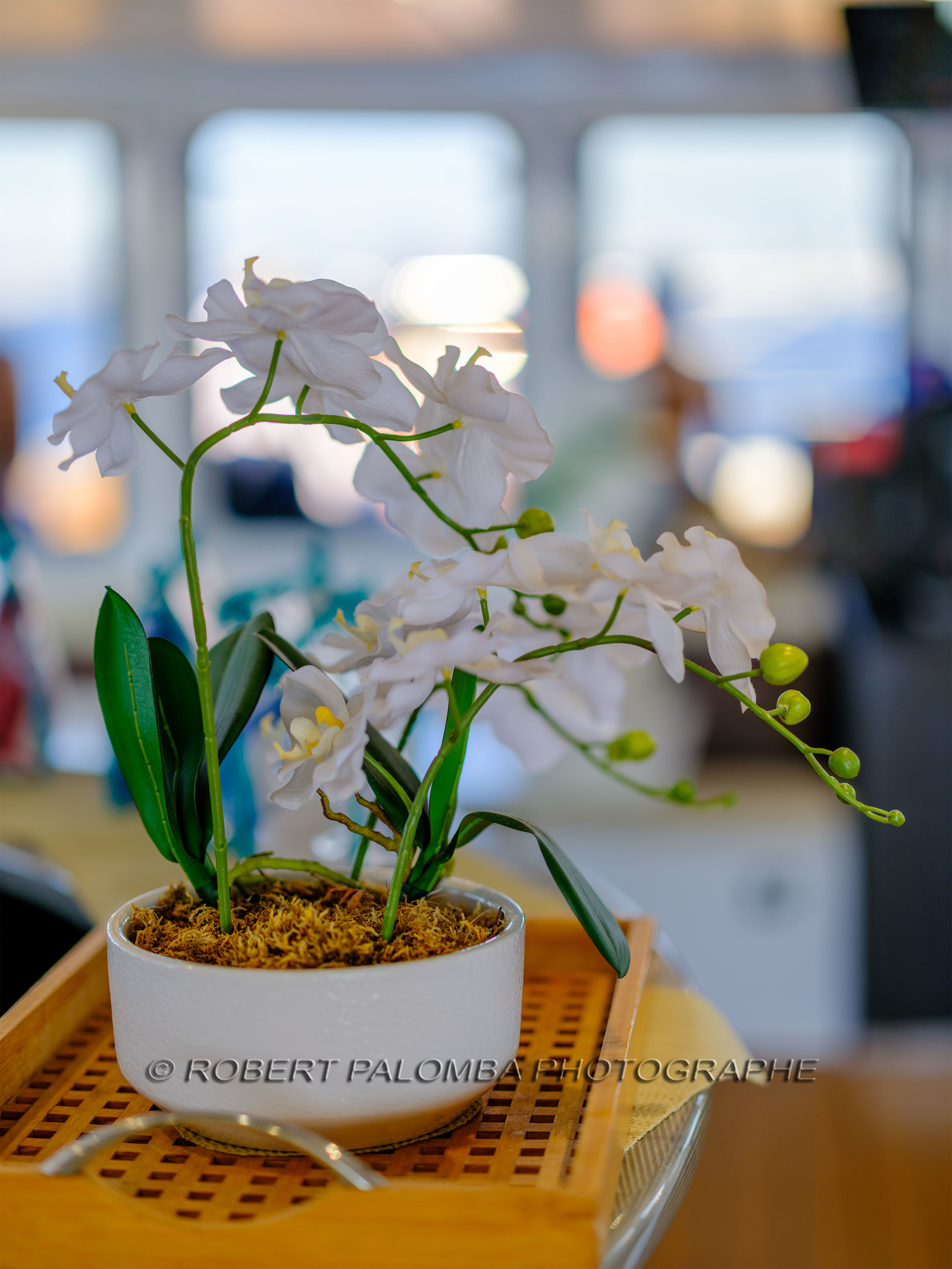 Rivage Croisière II