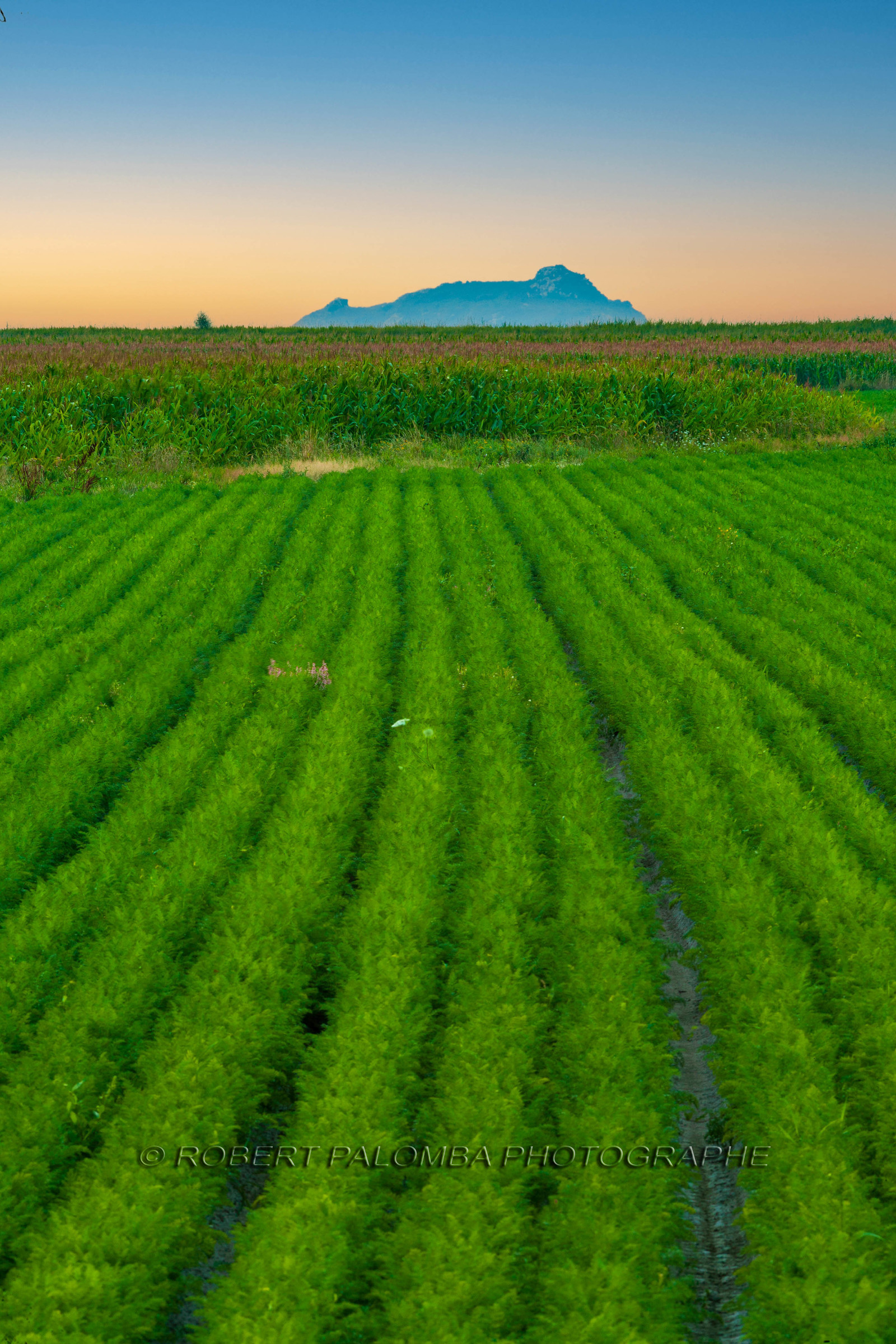 Le Mont-Saint-Michel
