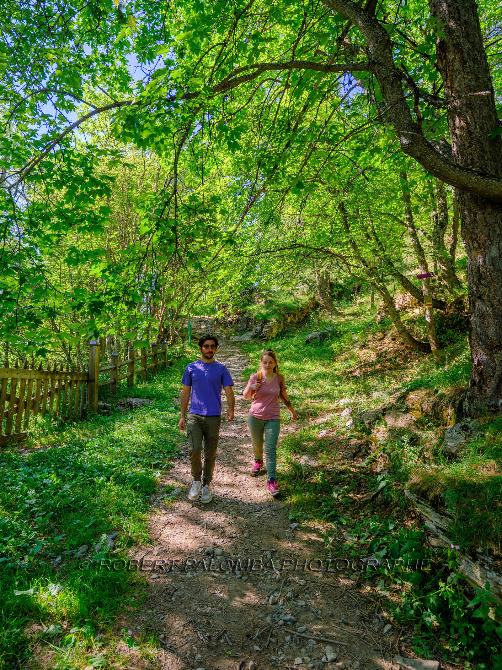 Rando Lac des Grenouilles