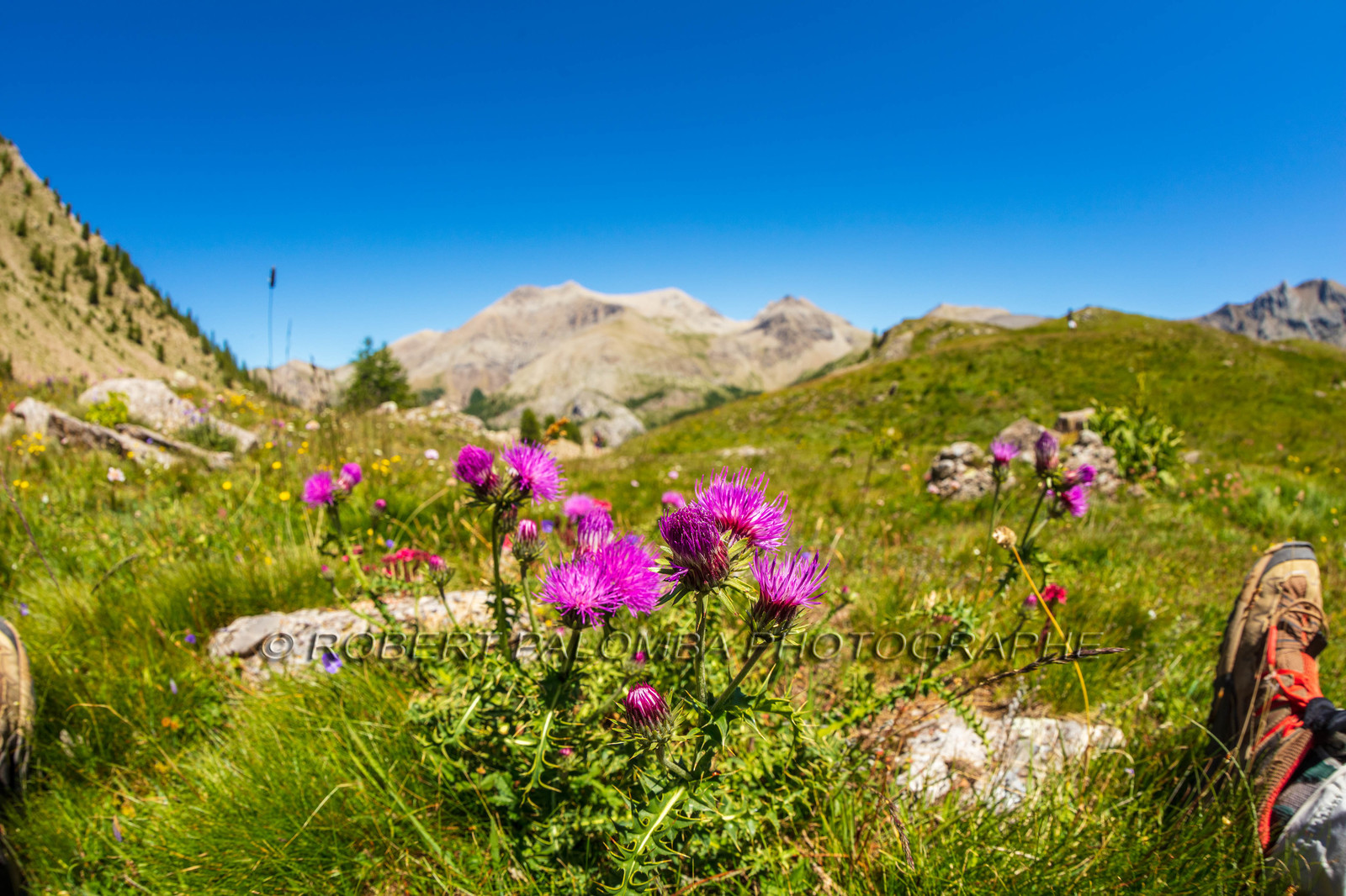 Lac d'Allos