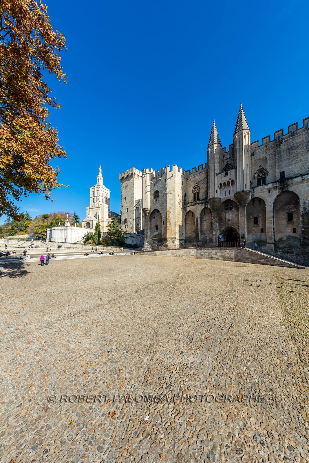 Avignon