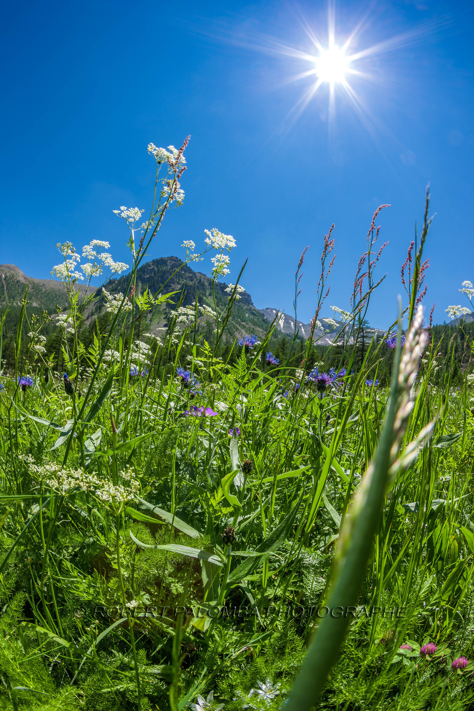 Col de la Moutière
