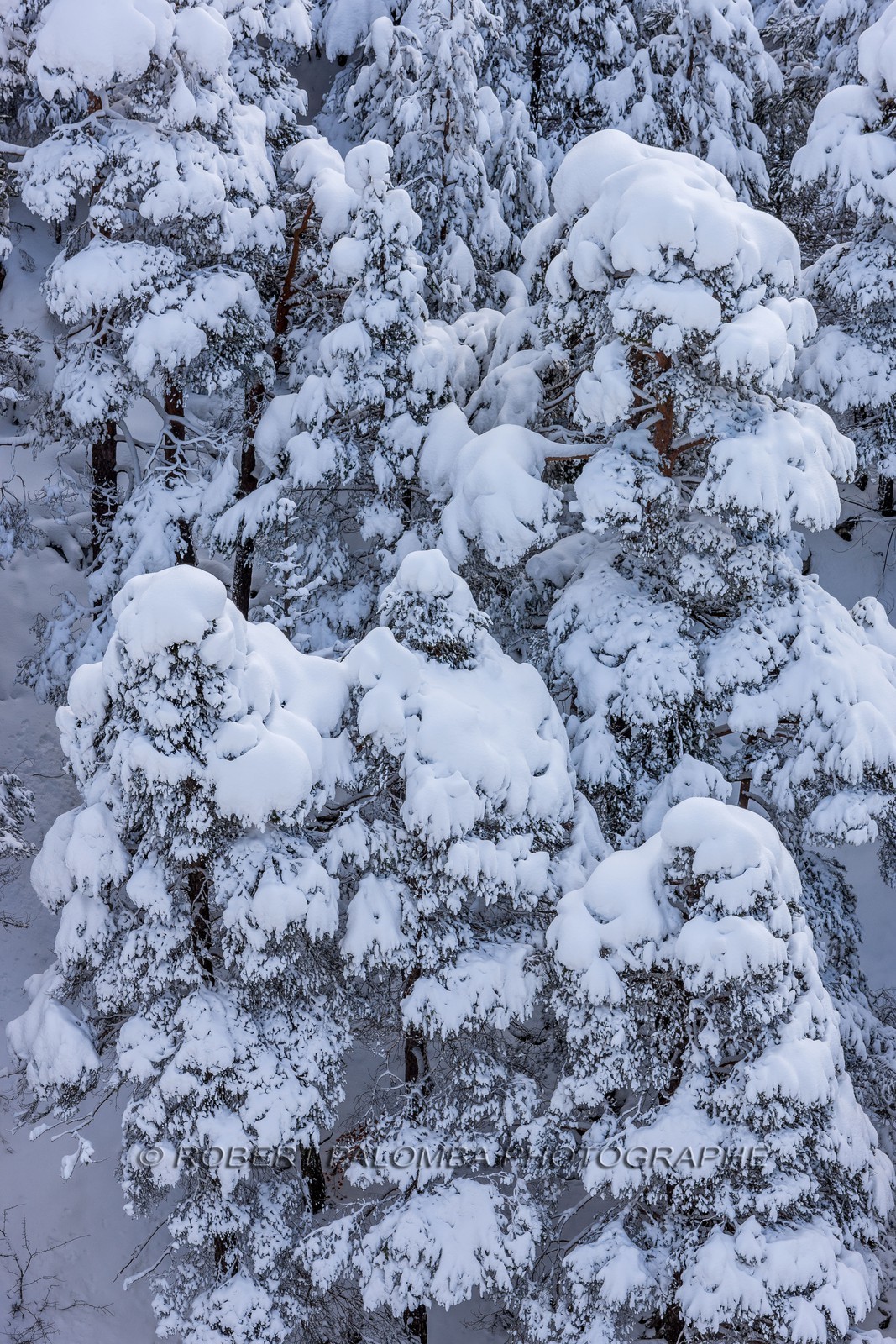 La Colle-Saint-Michel