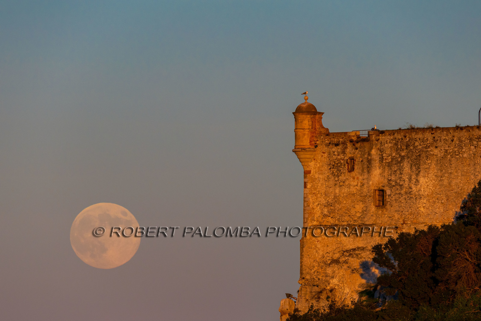 Lérins Sainte Marguerite 2024
