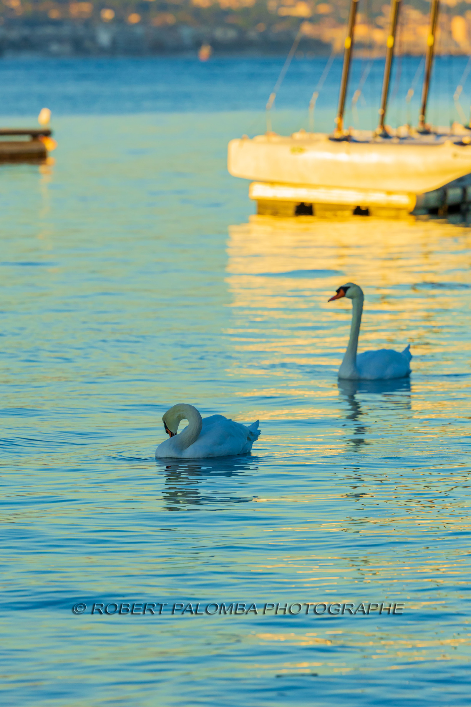 Lérins Sainte Marguerite 2024