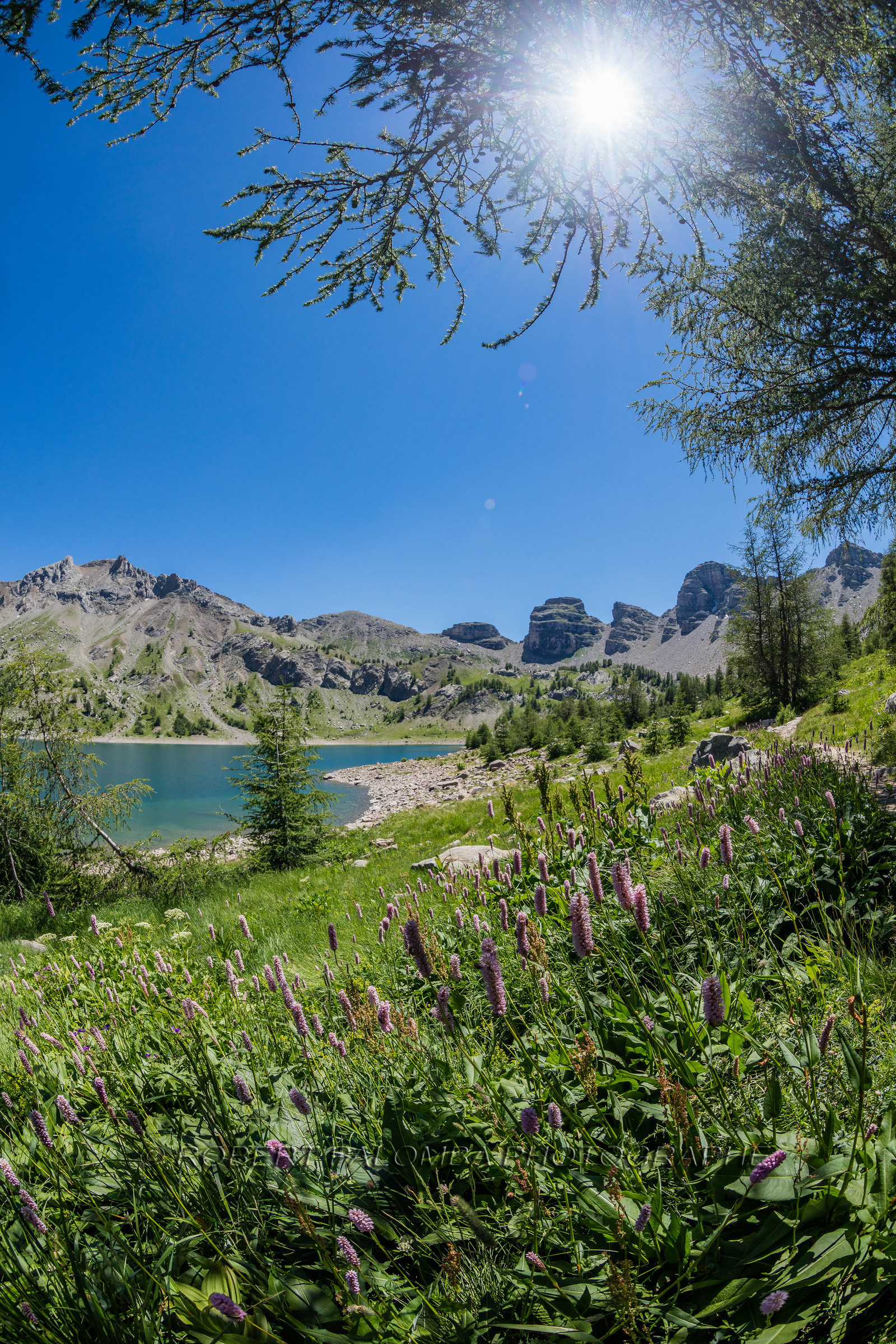 Lac d'Allos
