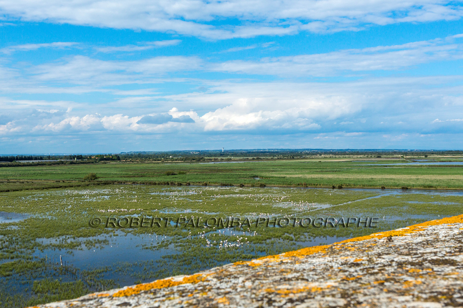 Saint-Laurent-d'Aigouze