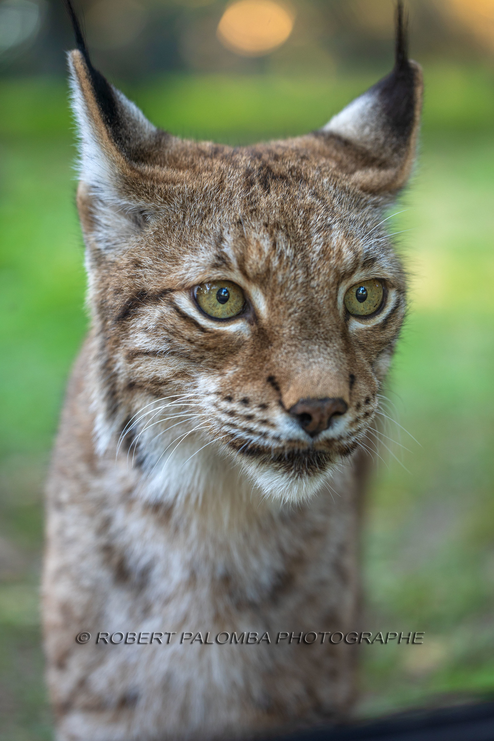 Parc animalier de la Barben
